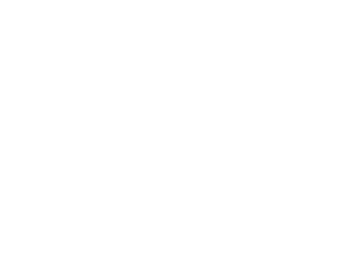 The DataPlan